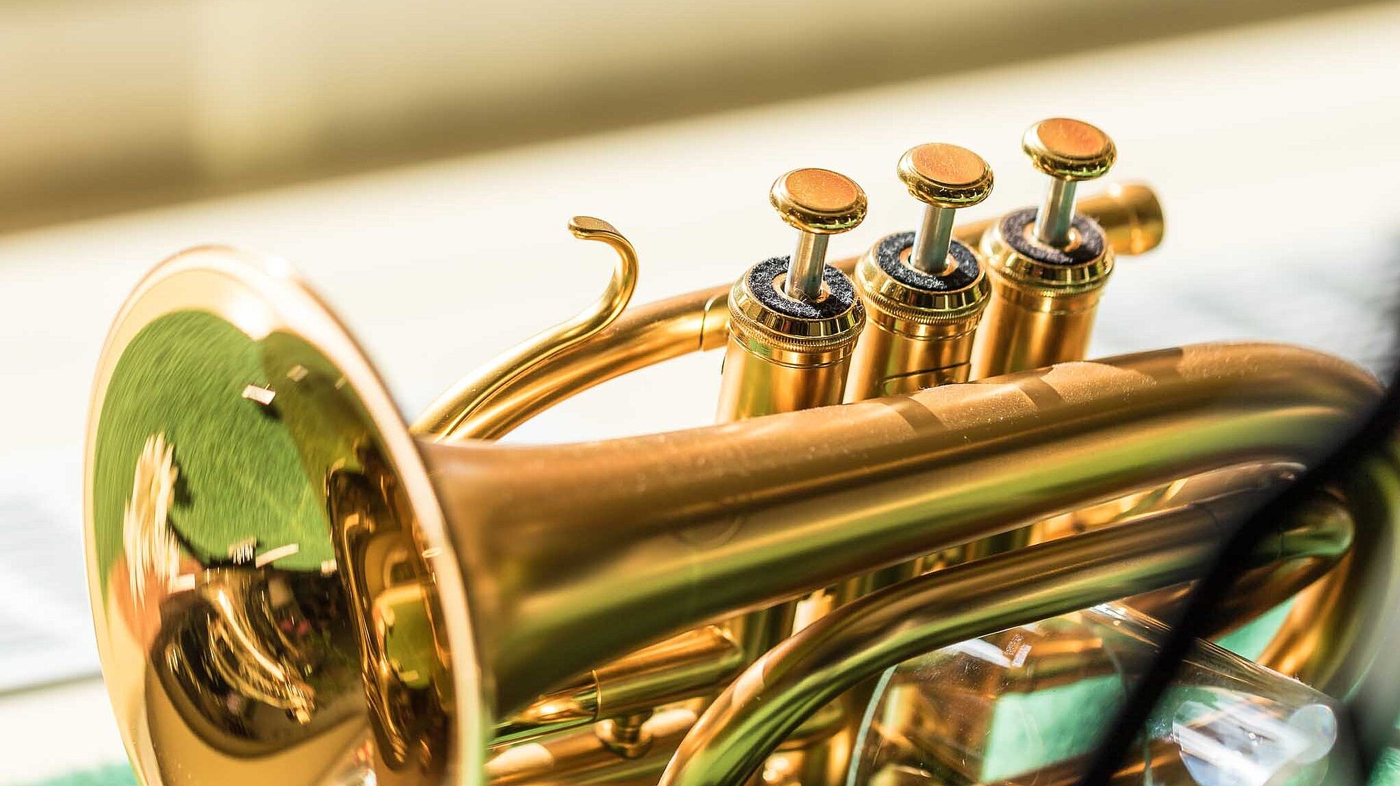 Trompete im Schaufenster eines Musikalienhandels