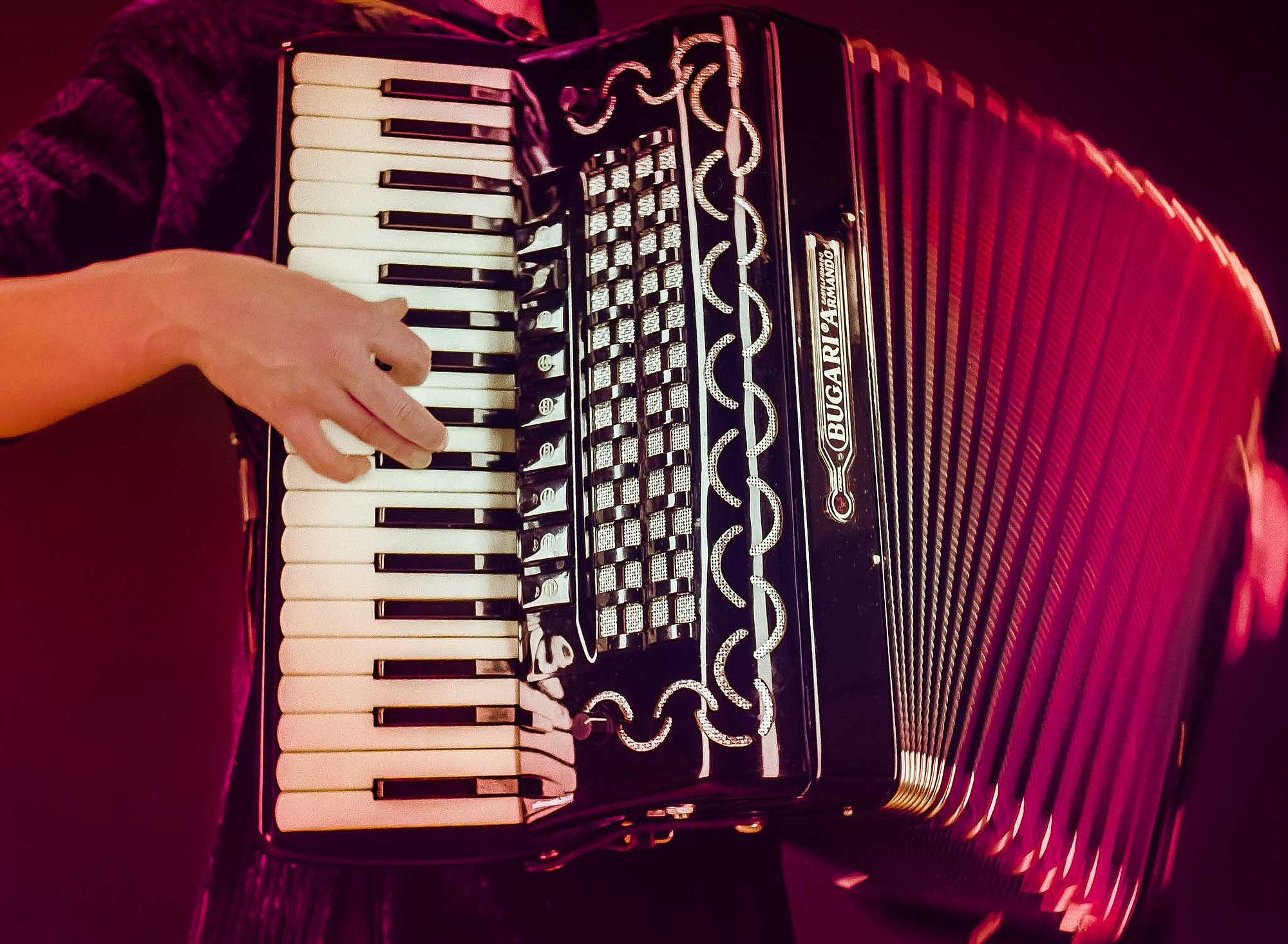 Nahaufnahme eines Akkordeons in Aktion